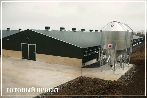 Этапы возведения птицефабрики от завода ВелесТент-крк